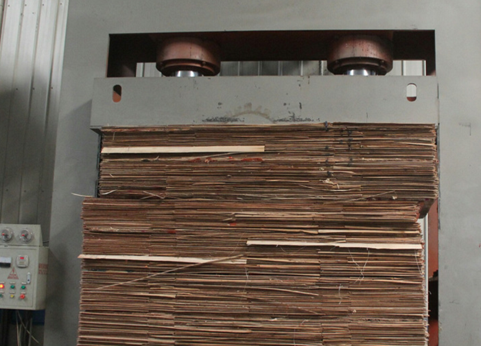 �����˽��A(y��)���C(j��)�Ĺ�������