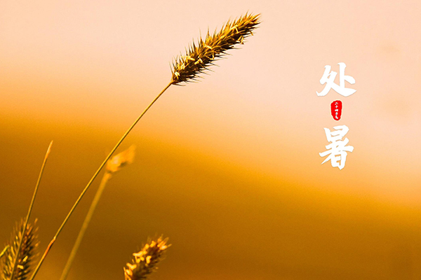 ����_(d��)�C(j��)е | ������ɢ������ğ������